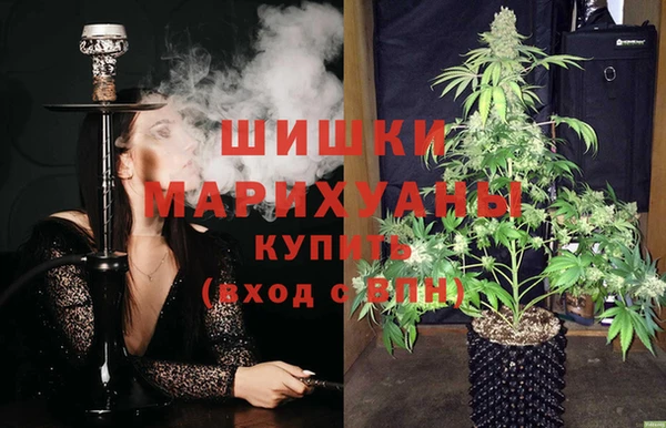 гашик Ладушкин